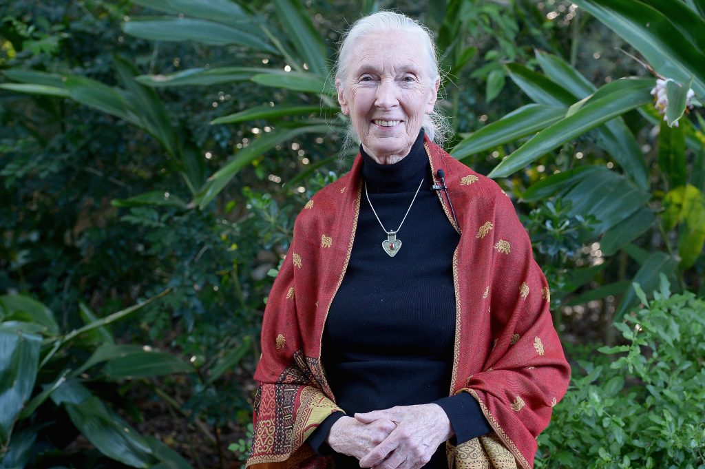 Jane Goodall: We Can Learn From This Pandemic - JKDawn